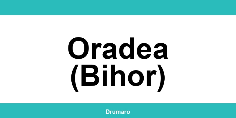 Autoritatea Rutieră Română (ARR) Oradea (Bihor): program, adresă și contact