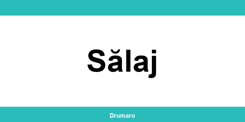 Autoritatea Rutieră Română (ARR) Sălaj: program, adresă și contact
