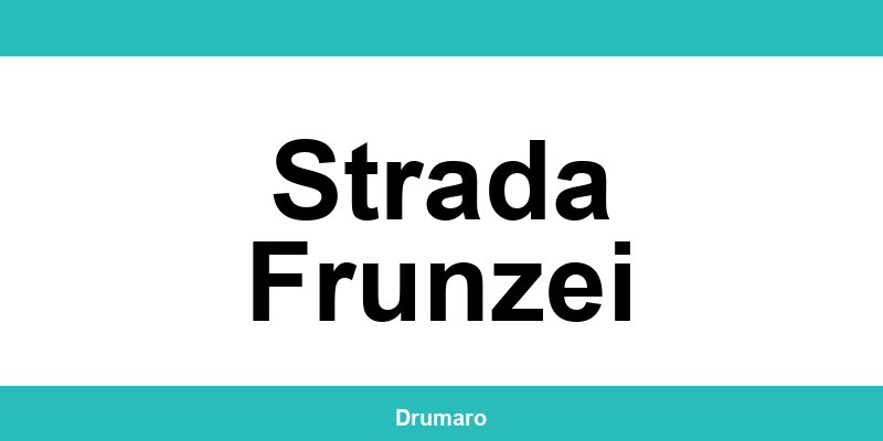 Autoritatea Rutieră Română (ARR) Strada Frunzei: program, adresă și contact